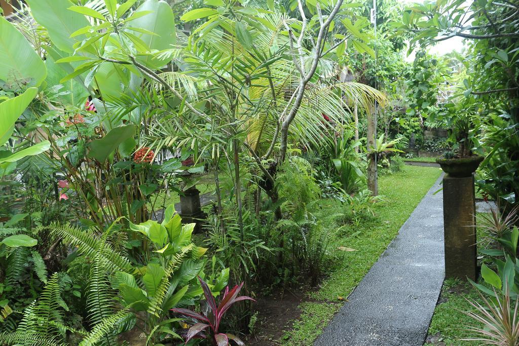 Karang Mesari Ubud Guest House Εξωτερικό φωτογραφία