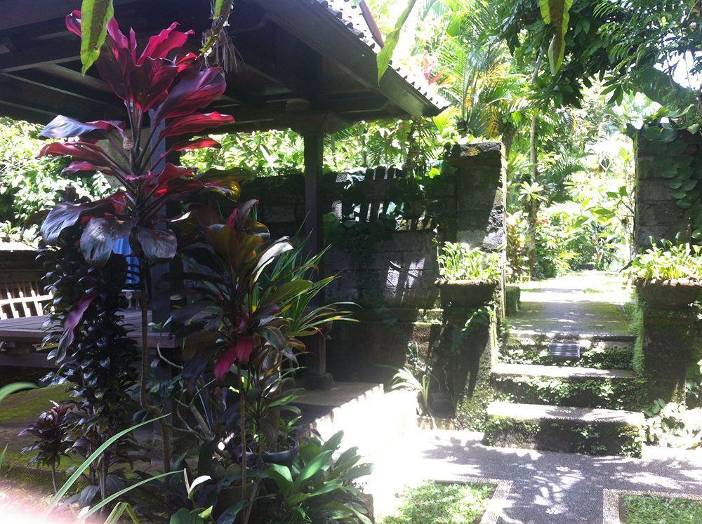 Karang Mesari Ubud Guest House Εξωτερικό φωτογραφία