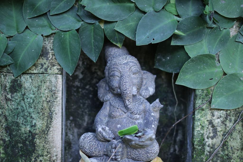 Karang Mesari Ubud Guest House Εξωτερικό φωτογραφία