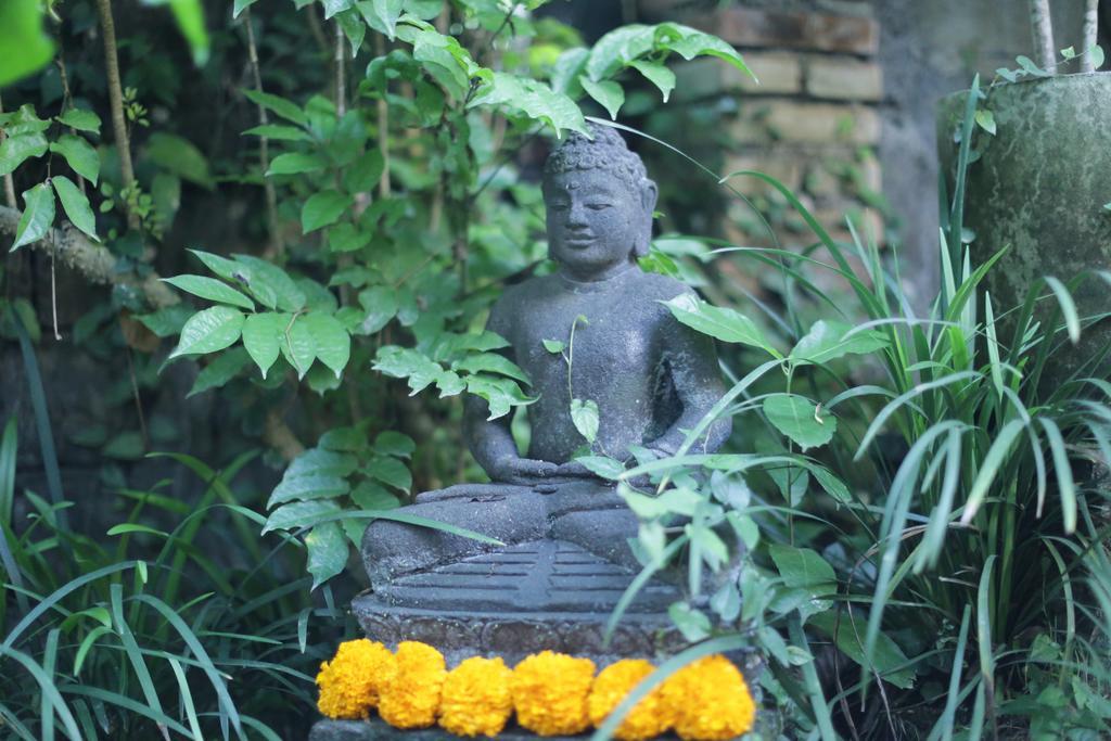Karang Mesari Ubud Guest House Εξωτερικό φωτογραφία