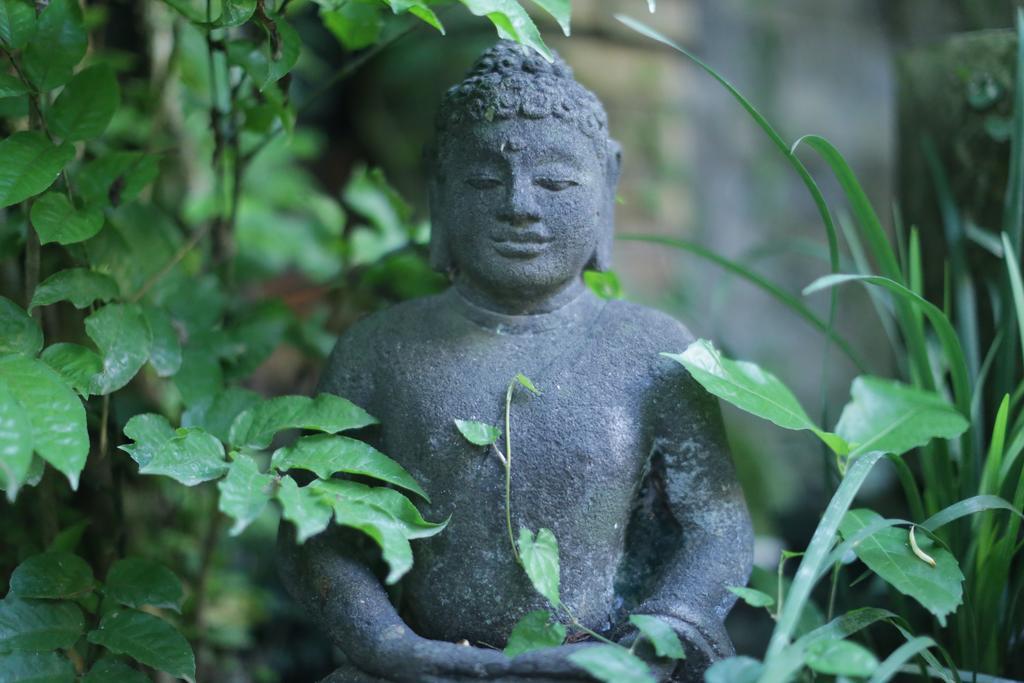 Karang Mesari Ubud Guest House Εξωτερικό φωτογραφία