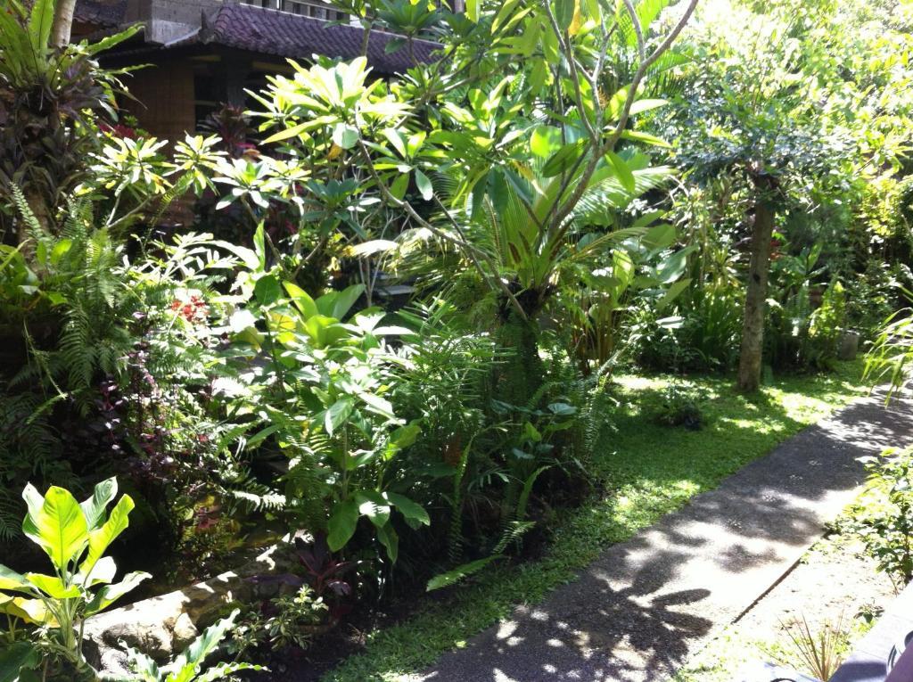 Karang Mesari Ubud Guest House Εξωτερικό φωτογραφία