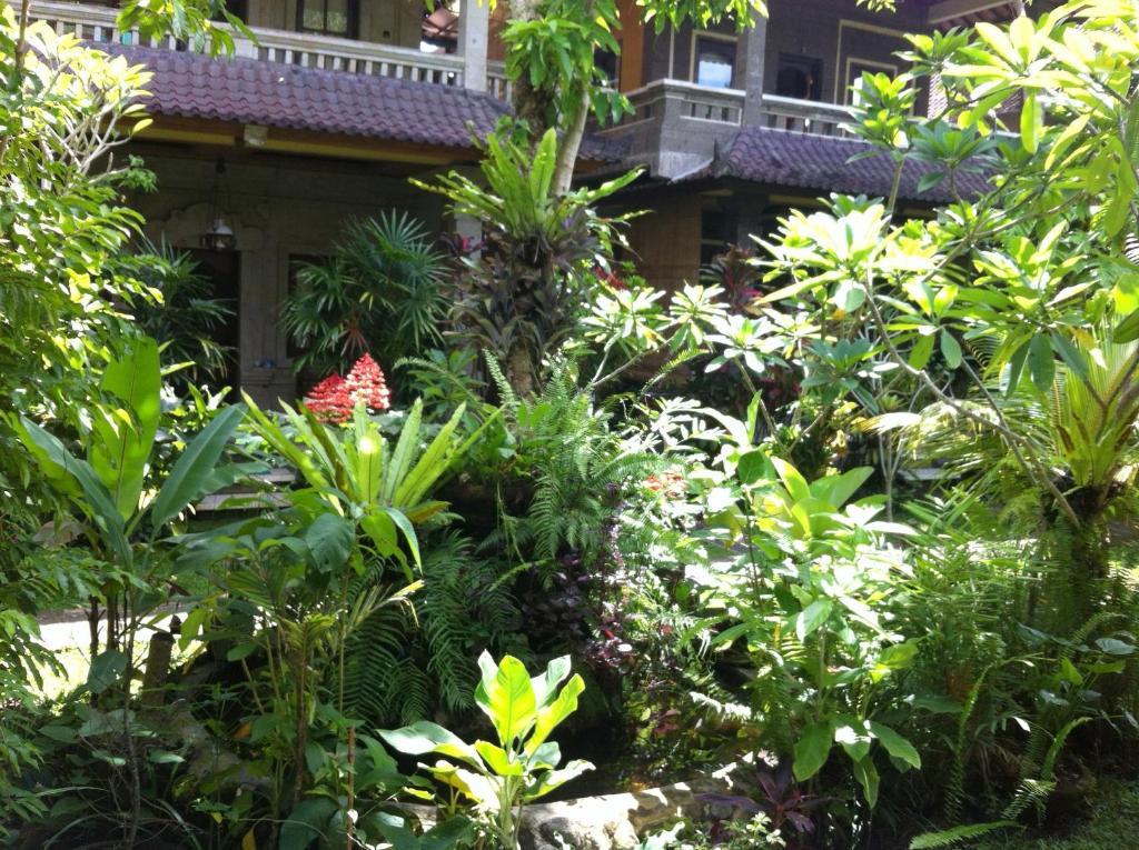 Karang Mesari Ubud Guest House Εξωτερικό φωτογραφία
