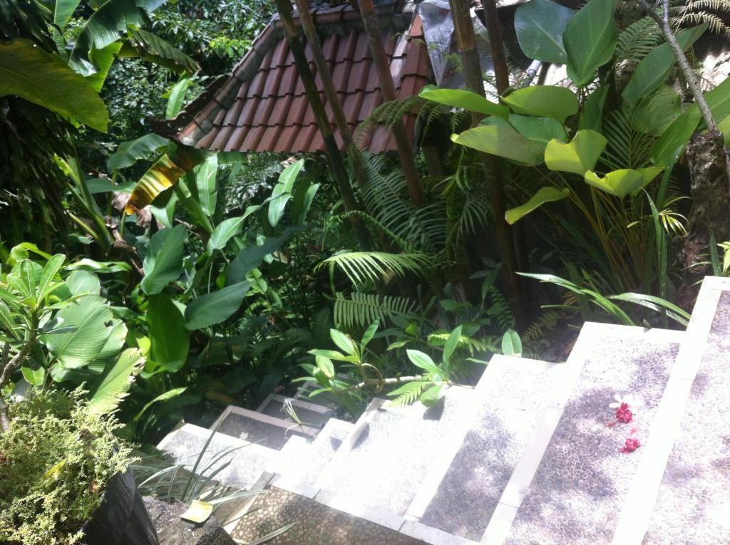 Karang Mesari Ubud Guest House Εξωτερικό φωτογραφία