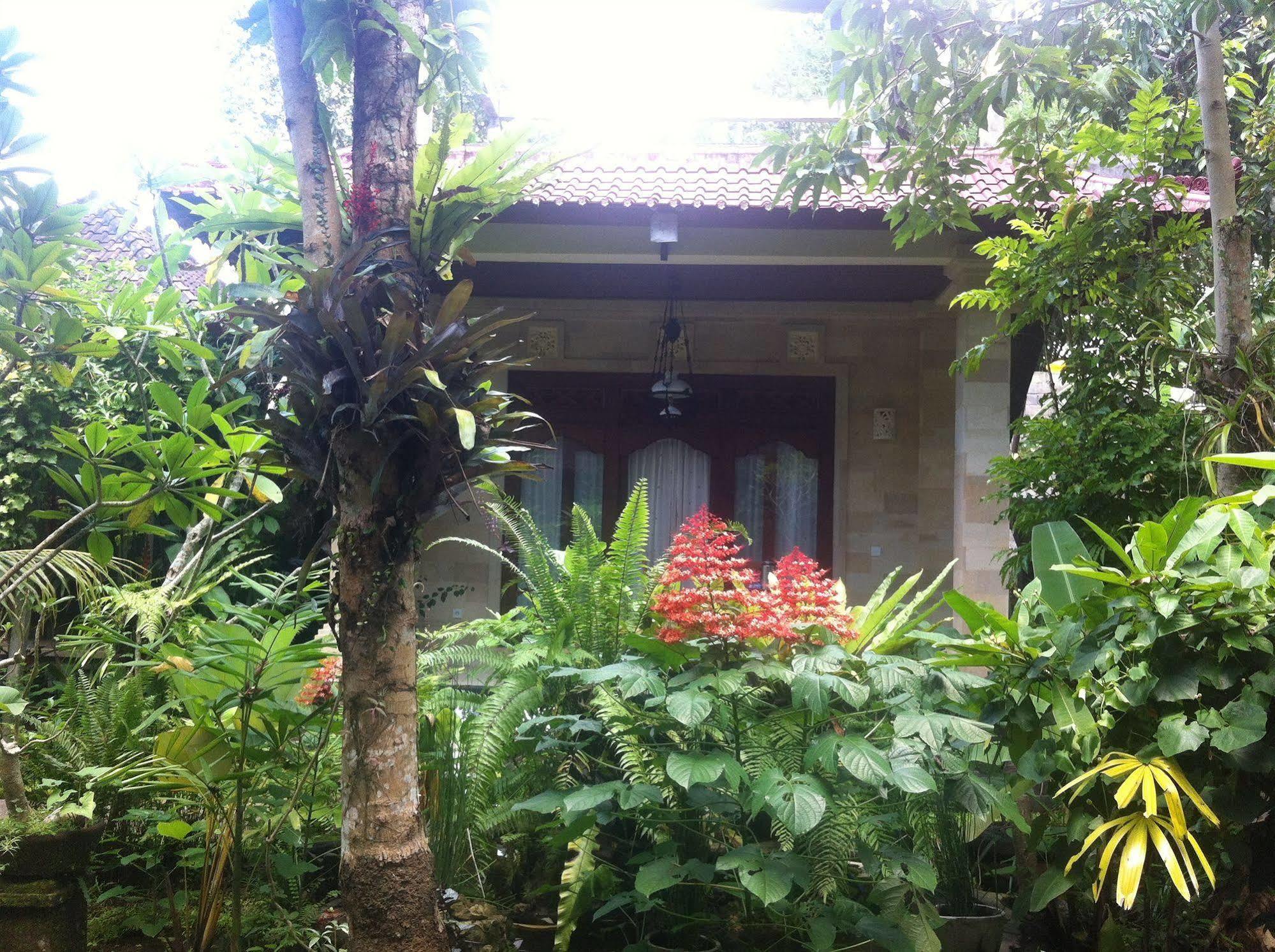 Karang Mesari Ubud Guest House Εξωτερικό φωτογραφία